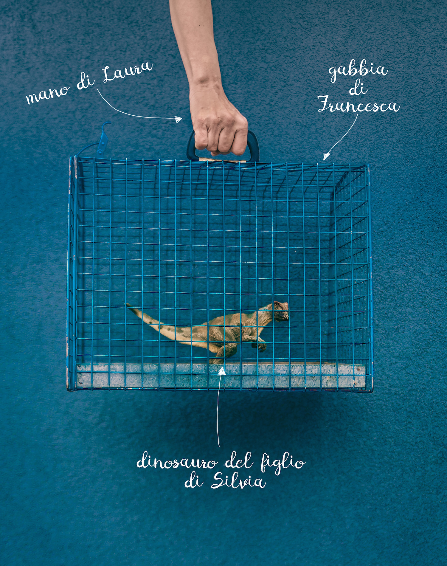 immagine i will survive_2